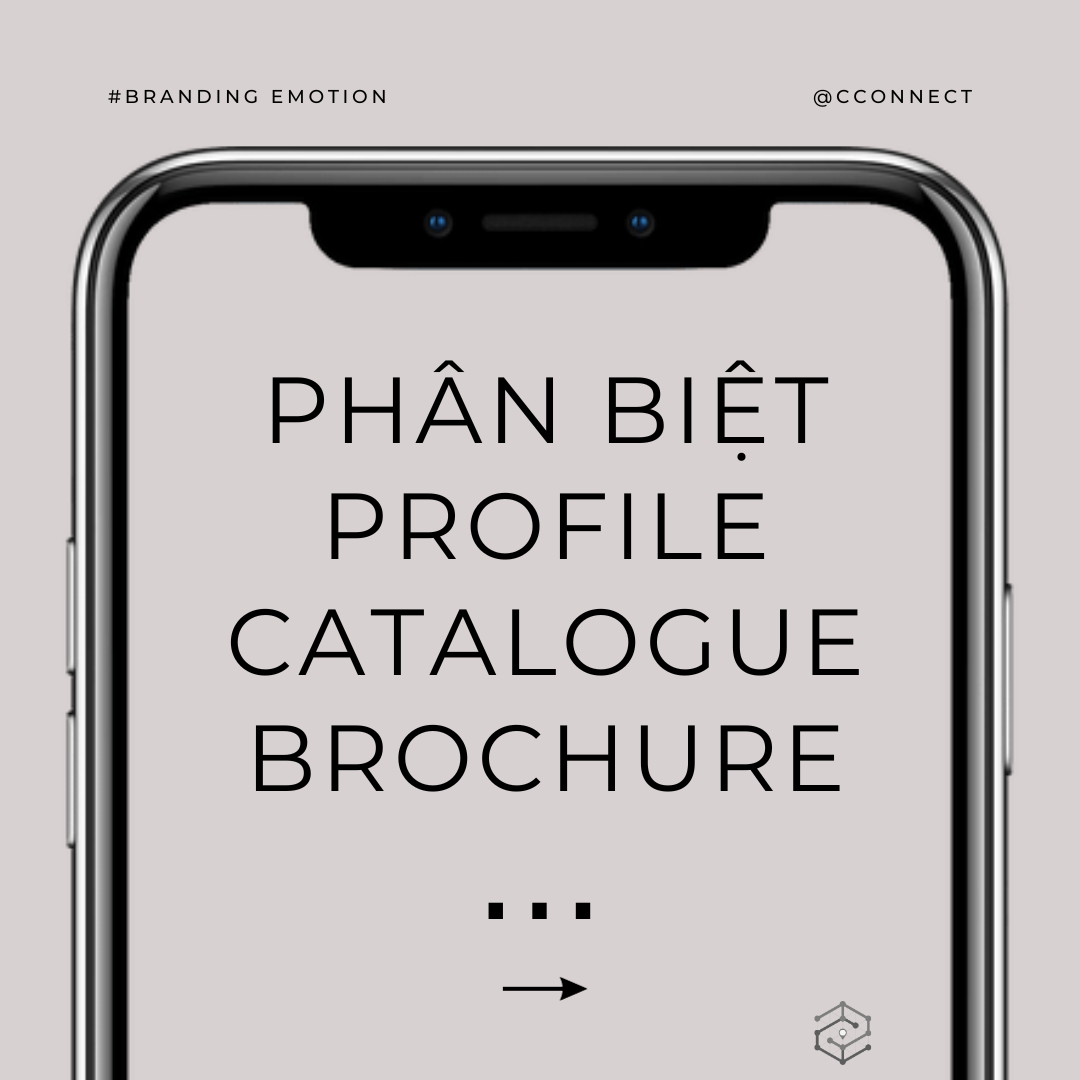 Phân biệt Profile, Catalogue và Brochure