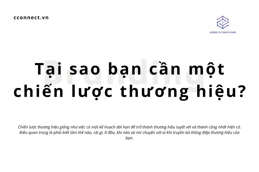 Tại sao bạn cần một chiến lược thương hiệu?