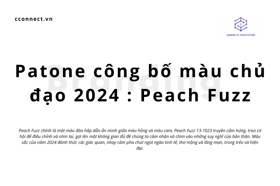 Patone công bố màu chủ đạo 2024 : Peach Fuzz