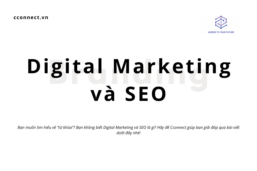 Digital Marketing và SEO